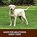Holistic Select Natural Dry Dog Food, Lamb Meal Recipe, 15-Pound Bag