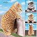 Collections Etc Kitty Peeker Over The Fence Figurine, Orange