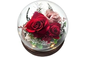 SUOSIHUALI Forever Rose Birthday Gifts for Women, Eternal Flowers for Delivery Prime, Preserved Red Rose Flowers in Glass Dome for Mom Grandma Wife Girlfriend