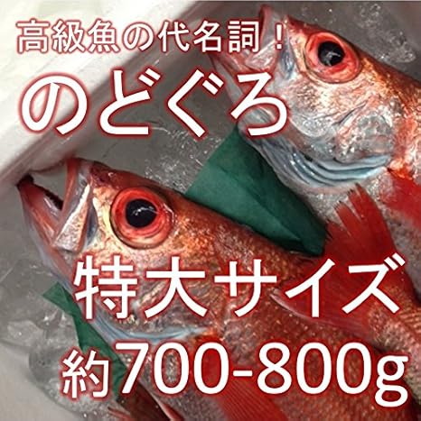 のどぐろ 喉黒 赤むつ 特大サイズ 生 鮮魚 築地直送 約700 800g 1尾 日本海産 鳥取 山口 島根他 アカムツ 生のどぐろ700 800g 株式会社okawari 鮮魚 通販 Amazon
