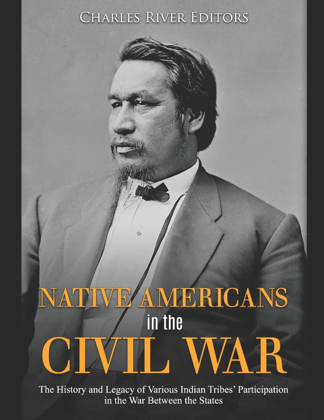 Native Americans In The Civil War The History And Legacy Of