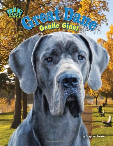 great dane with person