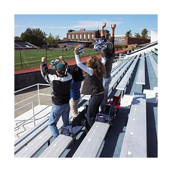 Rio-Adventure-Stadium-Arm-Chair