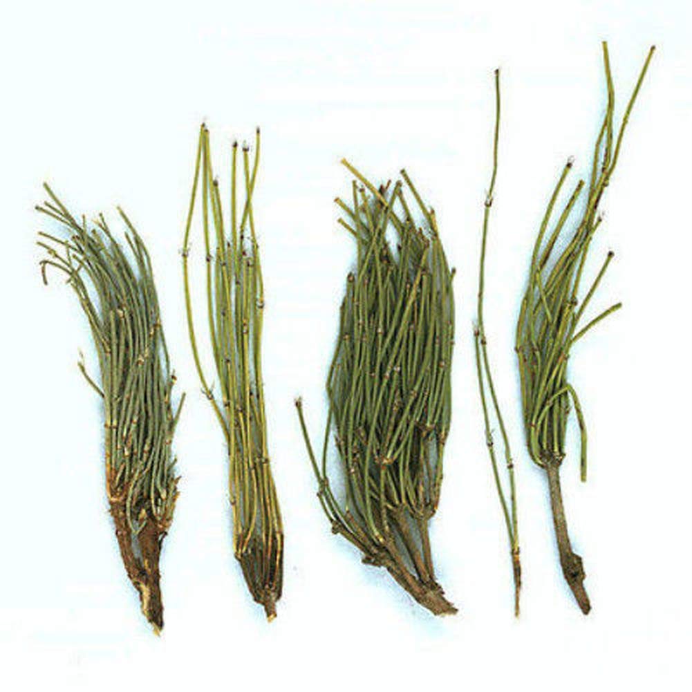 250g (0.55LB) Pure Raw Natural Ephedra Sinica Tea Ma Huang Herbal Tea