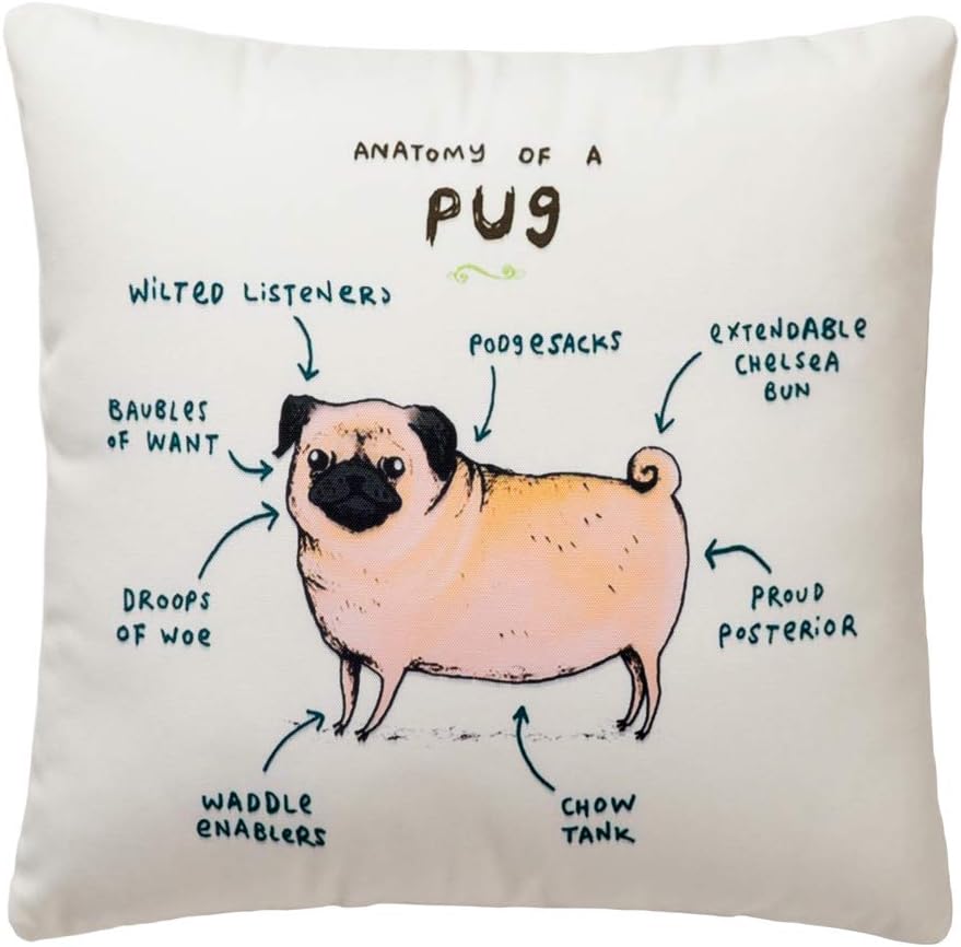 Pantaknot Pug Decorative Throw Pillow Cover Animal Cute Dog Pillowcase Cushion Home Decor, 18 x 18 Inch