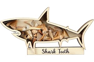 Yousoontic Shark Tooth Display Case Shark Teeth Shadow Box Collection Wood Shark Teeth Holder Gifts for Vacation Beach Home Decor (12 x 7 Inch)