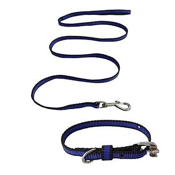 Pawzone Nylon Leash With Collar Set For Puppy - Blue