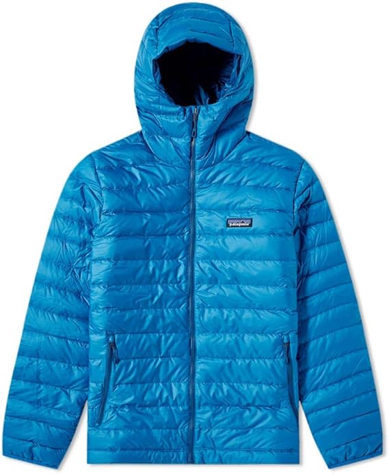 patagonia men's down sweater hoody