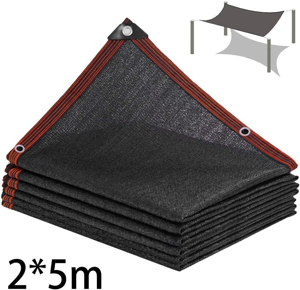 Junio1 12 Pines sombreado cifrado Neto Engrosamiento jardín de Verano