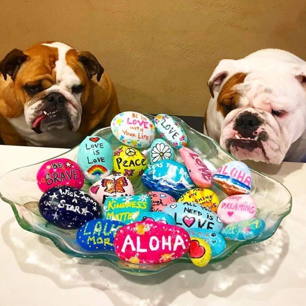 BigOtters Painting Rocks, 25 Rocks for Painting Kindness Rocks Range from About 2 to 3 inches, About 6.8 pounds of Rocks