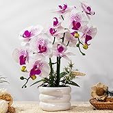 JARELING Artificial Orchids Flowers with Vase for Table Centerpieces, Real Touch Faux White Orchid Phalaenopsis in Ceramic Vase for Home Wedding Kitchen Decoration (White, Purple)