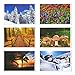 Best Paper Postcards 40 Pack Nature Bulk, Blank Travel Postcards for Mailing, 20 Assorted Scenic Photos, Four Seasons (4x6 In)