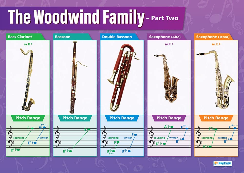 Daydream Education Woodwind Instruments (2) | Music Posters | Laminated Gloss Paper measuring 850mm x 594mm (A1) | Music Charts for the Classroom | Education Charts