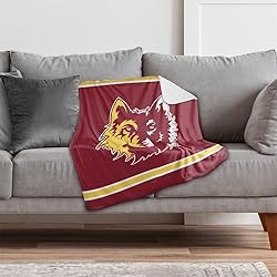 Northern State University Primary Logo Stripes