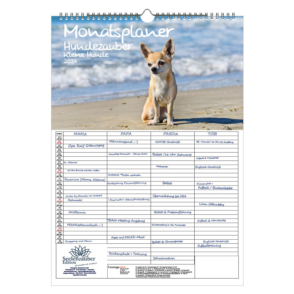 Hundezauber Small Dogs Wall Planner Family Planner 4 Column Planner A3 Calendar for 2024 Puppies and Small Dogs Seelenzauber