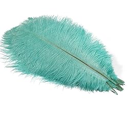 Lampu 10pcs Ostrich Feathers 12-14