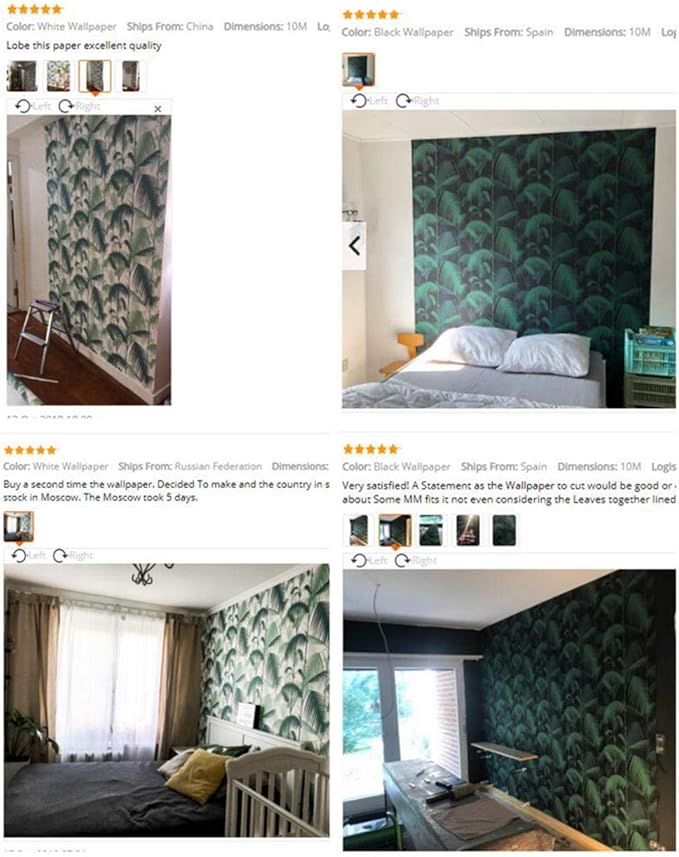 Gratuit Images Vert Tropical Jungles Palmier Feuilles Bois Rouleau De Papier actualisé par