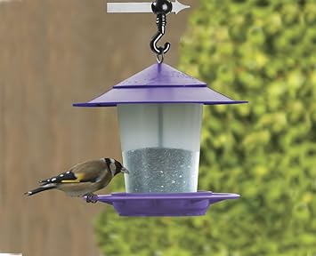 Lantern Bird Seed Nut Feeder Purple Amazon Co Uk Garden Outdoors