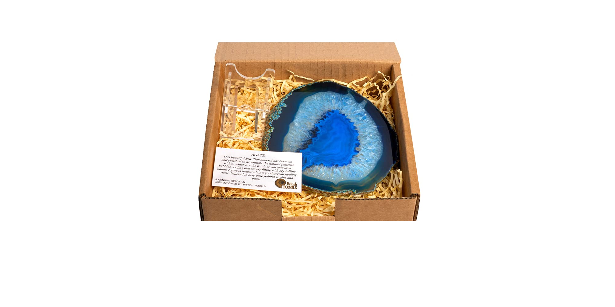 British Fossils Gift Boxed Decorative Agate Slice Ornament with Stand (5" Blue Agate Slice)
