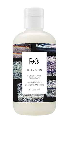 R+CO TELEVISION PERFECT HAIR SHAMPOO | BODY + SHINE + SMOOTHING FOR ALL HAIR TYPES | VEGAN + CRUELTY-FREE |