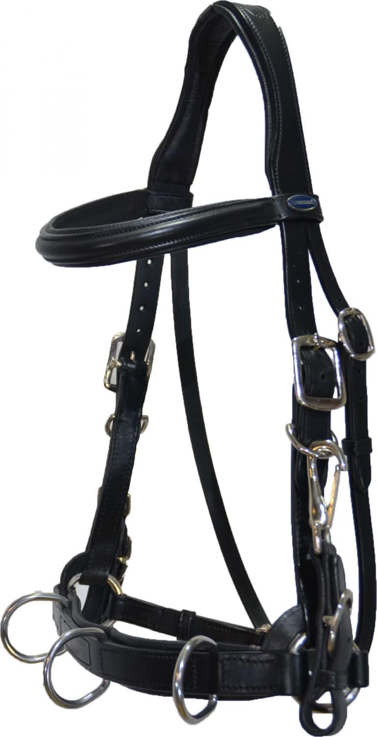 Eurori Ding Bridle Cavesson leather Atlanta