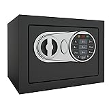 Goldenkey Small Safe Box for Money, Digital Home
