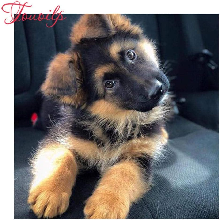 XCxCN 5D-DIY-Diamond Kit de Pintura Diamante Redondo Diamante Puro