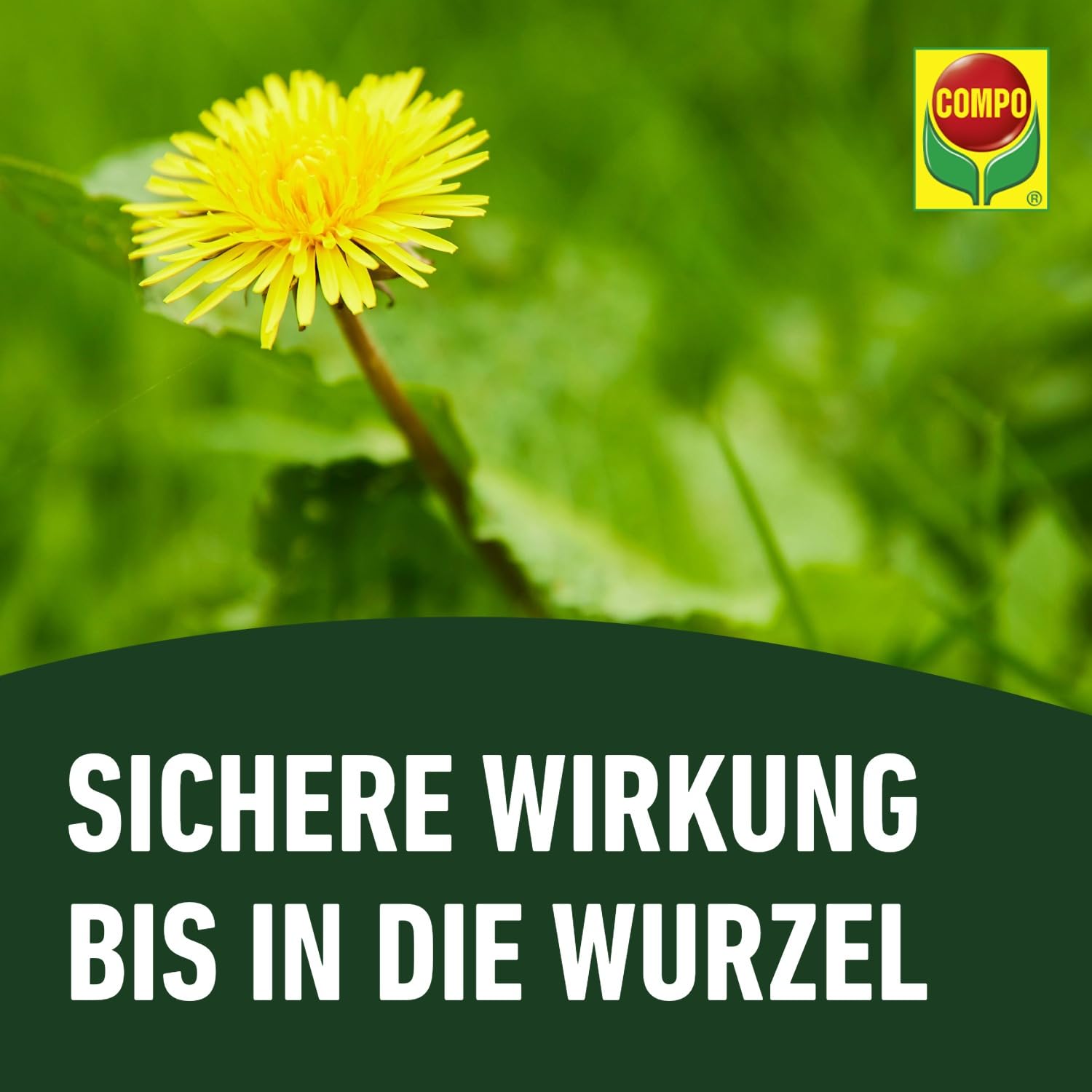 COMPO Rasenunkraut-Vernichter Banvel Quattro, Bekämpfung von schwerbekämpfbaren Unkräutern im Rasen, Konzentrat, 400 ml (400 m²) 7
