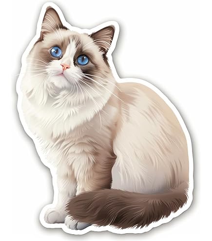 Ragdoll Cat Sticker 8 Pcs (Large Size) Vinyl Stickers Laptop