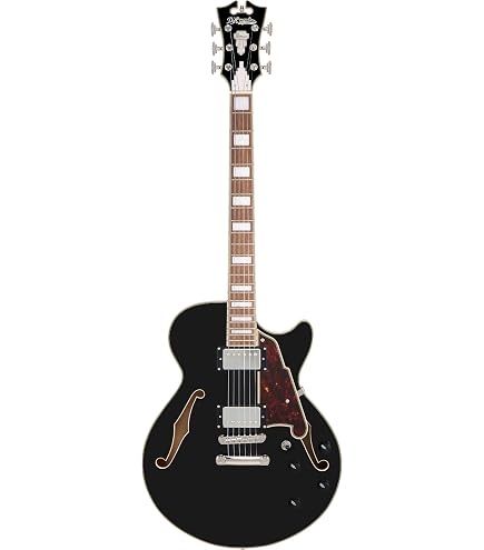 Amazon.com: D'Angelico Premier DC Electric Guitar - Solid Black