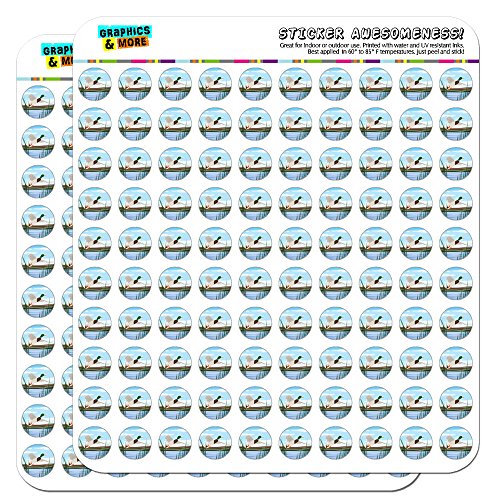 Mallard Duck Flying Hunting 1/2