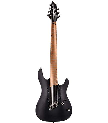 Amazon.com: Schecter Damien-7 SBK Electric Guitar - Satin Black