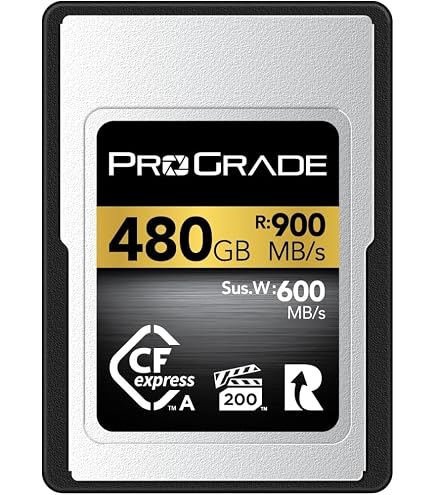 Amazon.com: ProGrade Digital CFexpress™ 4.0 Type A Memory Card