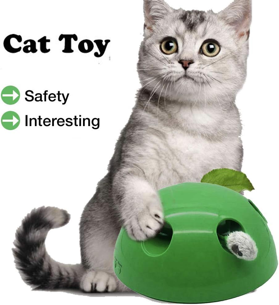 cat sharpening claws