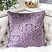 Homey COZY Modern Velvet Throw Pillow Cover (Plum)