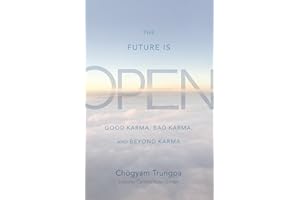 The Future Is Open: Good Karma, Bad Karma, and Beyond Karma