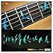Fret Markers for Guitar & Bass Inlay Sticker Decals In Abalone Theme -Birds/GR