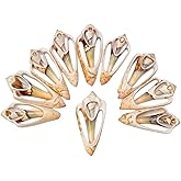 Tumbler Home Sea Shells for Crafting, 25pcs of Cut Strawberry Strombus Shells 1" to 2" inch Seashells for Crafts, Decoration & Coastal Décor