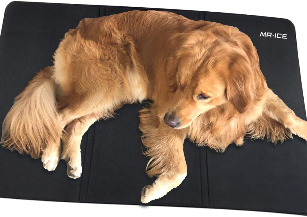Which Is The Best All For Paws Cooling Mat
