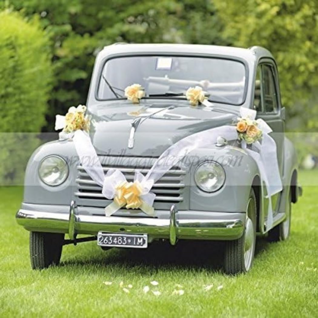 Brizzolari 004938_01 Car Kit with White Ribbon Bows