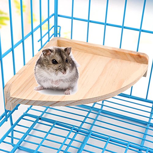 2 Mrli+Pet+Cockatiel+Chinchilla+Accessories