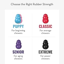 KONG Classic Stuffable Dog Toy - Fetch & Chew Toy