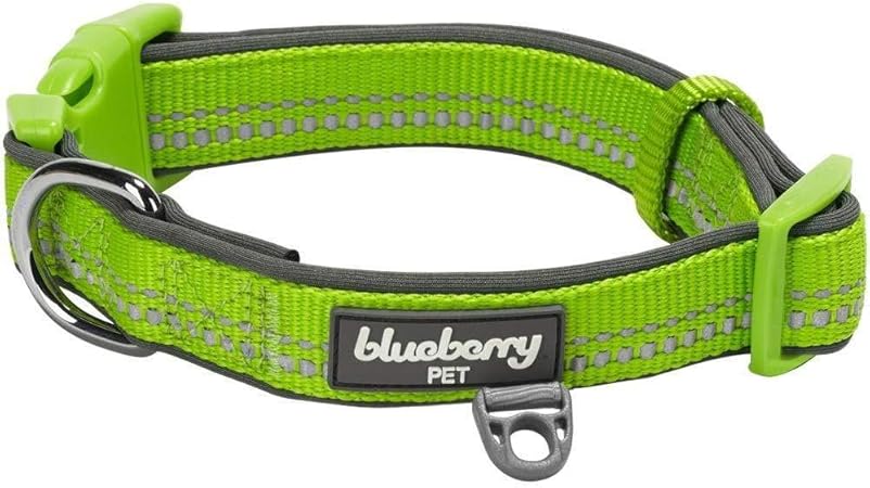 blueberry pet collars amazon