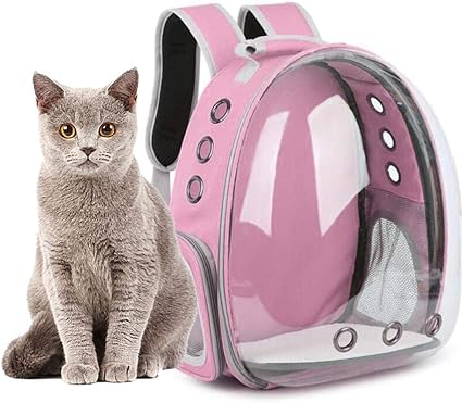 Sac à Dos Portable Pour Chat Chien Animal De Compagnie Sac De Transport à Roulettes Transparent Respirant Pour Voyage Randonnée Camping Sac De