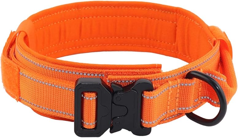 orange reflective dog collar