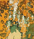 Andy Warhol Piss and Sex Paintings and Drawings, Hainley, Bruce, 188015482X