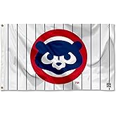 Chicago Baseball Vintage and Banner