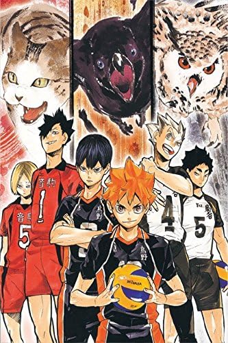 Haikyuu!! Hinata Shoyo Group - High Grade Laminated Poster