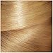 L'Oreal Paris Hair Color Root Cover Up Hair Dye Light to Medium Blonde 2 Ounce (Pack of 2) (Packaging May Vary)