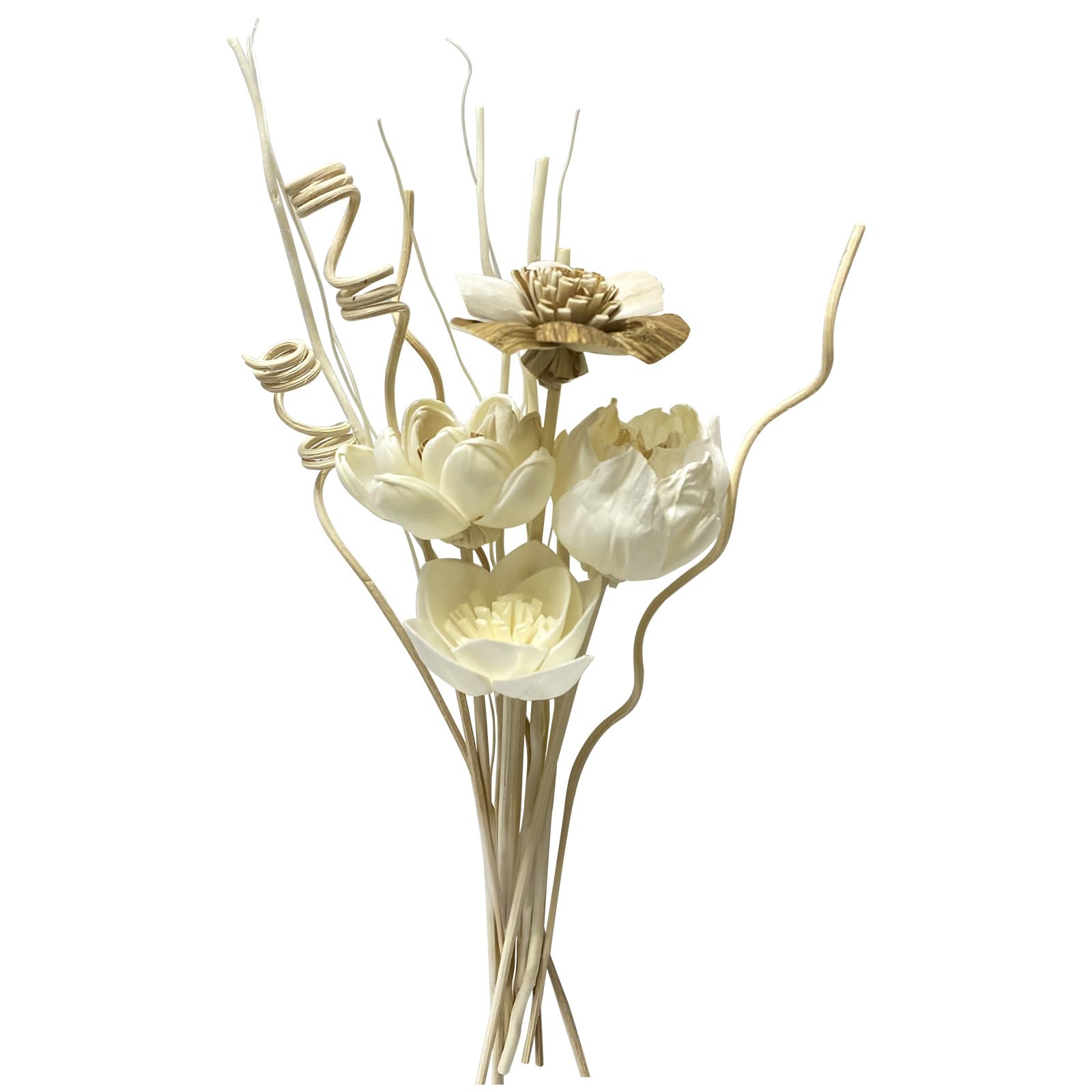 Photo 1 of Reed Diffuser Sticks, Reed Diffuser Sticks Flowers, Reed Diffuser Set for Bathroom, Reed Diffuser for Home, Bedroom Decor, Office,12Pcs, Natural Flower